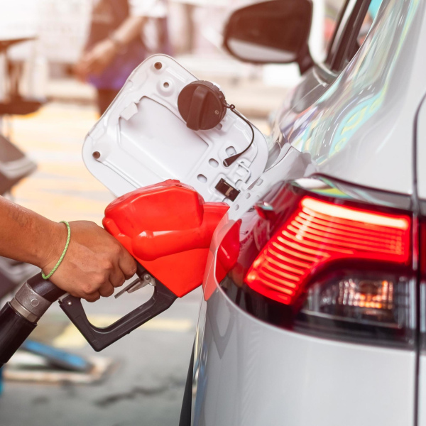 Distribution Essence